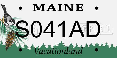 S041AD Maine License Plate