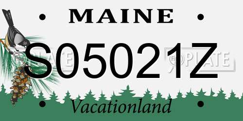 S05021Z Maine License Plate