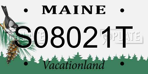 S08021T Maine License Plate