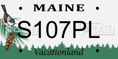 S107PL Maine License Plate