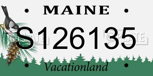 S126135 Maine License Plate