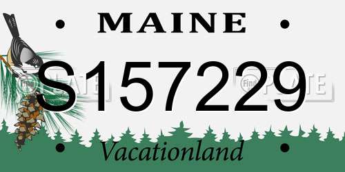 S157229 Maine License Plate
