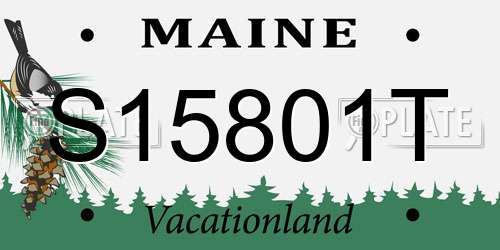 S15801T Maine License Plate