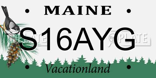 S16AYG Maine License Plate