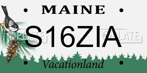 S16ZIA Maine License Plate