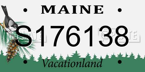 S176138 Maine License Plate