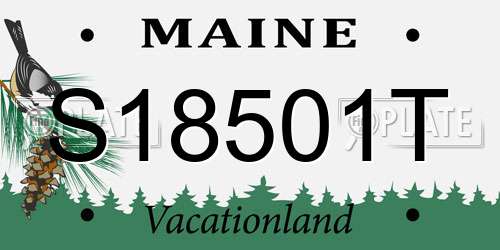 S18501T Maine License Plate