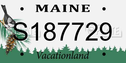 S187729 Maine License Plate
