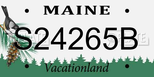S24265B Maine License Plate