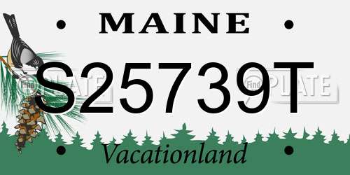 S25739T Maine License Plate