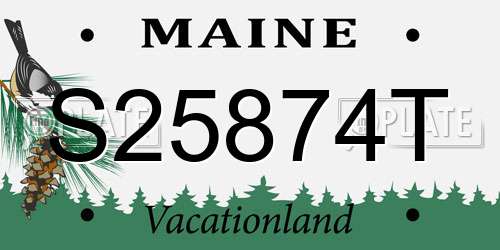 S25874T Maine License Plate