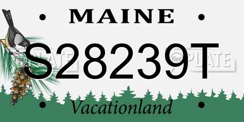S28239T Maine License Plate