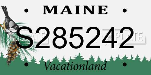 S285242 Maine License Plate