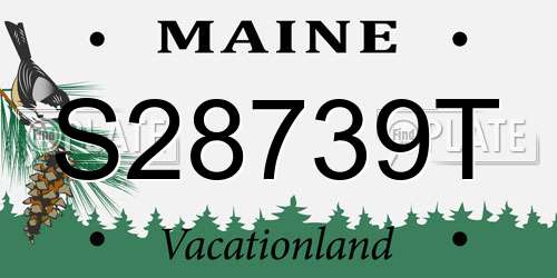 S28739T Maine License Plate