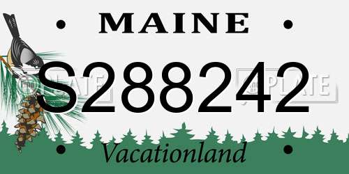 S288242 Maine License Plate