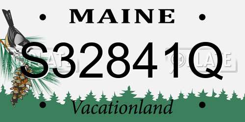 S32841Q Maine License Plate