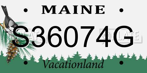 S36074G Maine License Plate