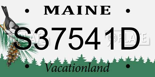 S37541D Maine License Plate