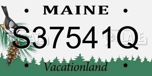 S37541Q Maine License Plate