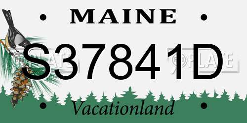 S37841D Maine License Plate