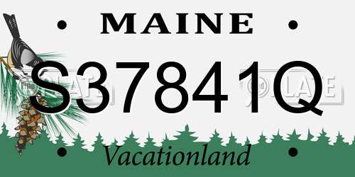 S37841Q Maine License Plate