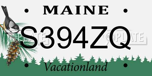 S394ZQ Maine License Plate