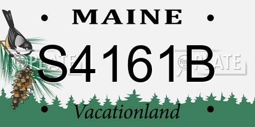 S4161B Maine License Plate