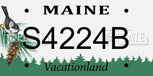S4224B Maine License Plate