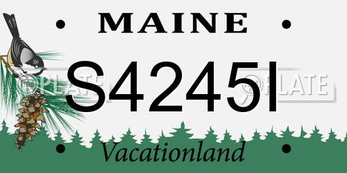 S4245I Maine License Plate