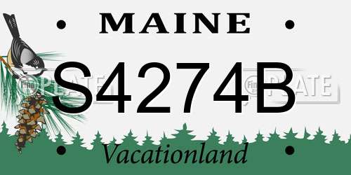 S4274B Maine License Plate