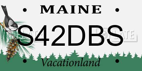 S42DBS Maine License Plate
