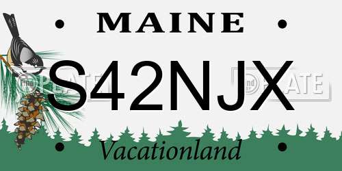 S42NJX Maine License Plate