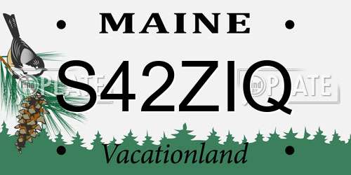 S42ZIQ Maine License Plate