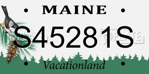 S45281S Maine License Plate