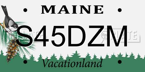 S45DZM Maine License Plate