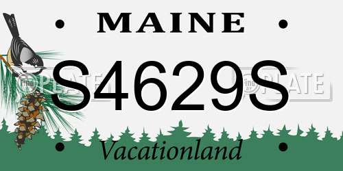 S4629S Maine License Plate