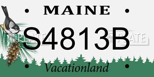S4813B Maine License Plate