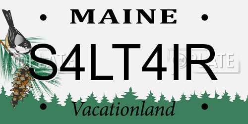 S4LT4IR Maine License Plate