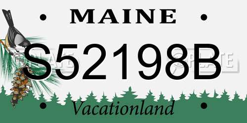 S52198B Maine License Plate