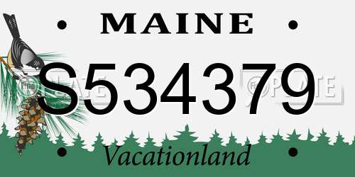 S534379 Maine License Plate