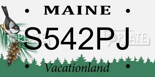 S542PJ Maine License Plate