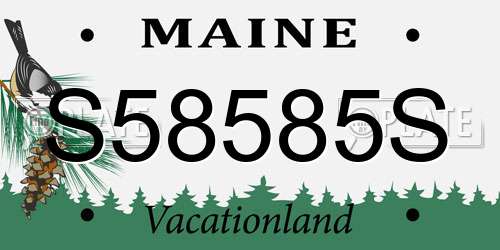S58585S Maine License Plate