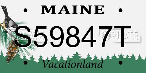 S59847T Maine License Plate