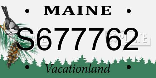 S677762 Maine License Plate