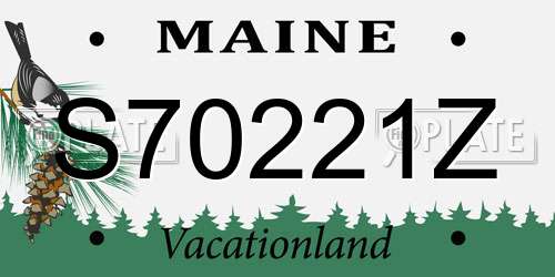 S70221Z Maine License Plate