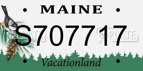 S707717 Maine License Plate