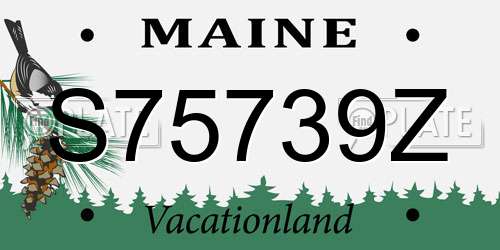 S75739Z Maine License Plate