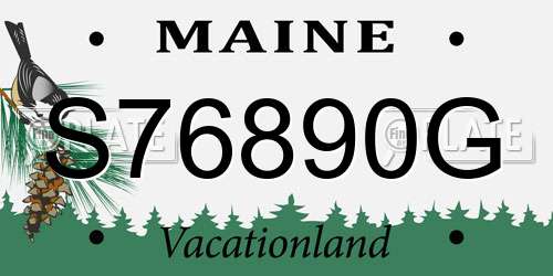 S76890G Maine License Plate