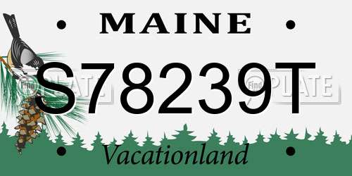 S78239T Maine License Plate