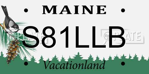 S81LLB Maine License Plate